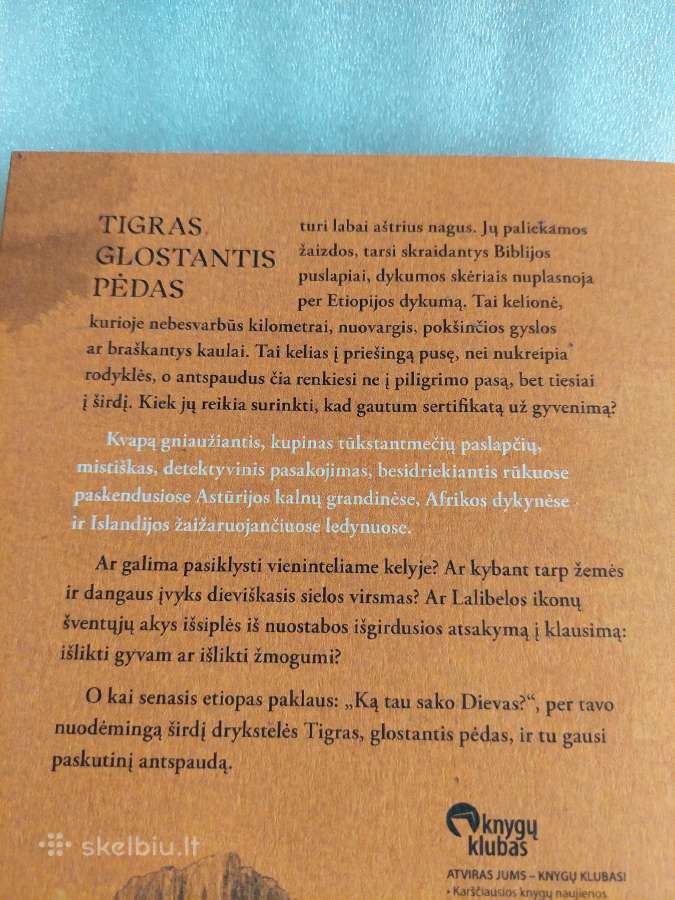 Tigras, glostantis pėdas - nuotraukos Nr. 3