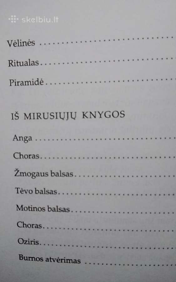 Vigilijos - nuotraukos Nr. 8