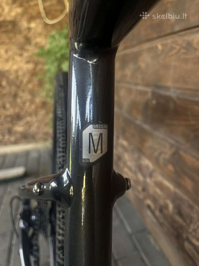 Elektrinis Cannondale Topstone Neo Sl2 - nuotraukos Nr. 6