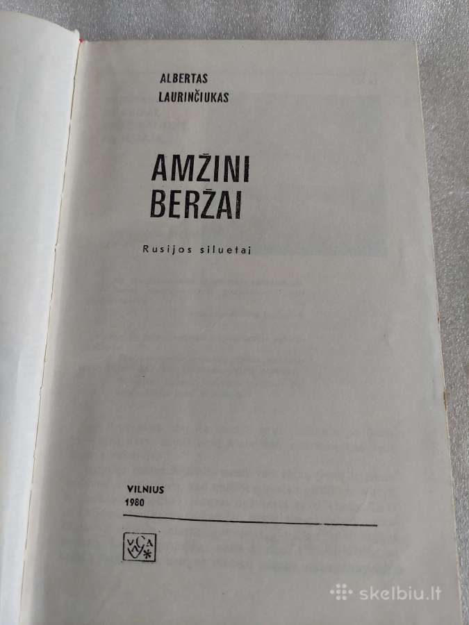 Amžini beržai - nuotraukos Nr. 2