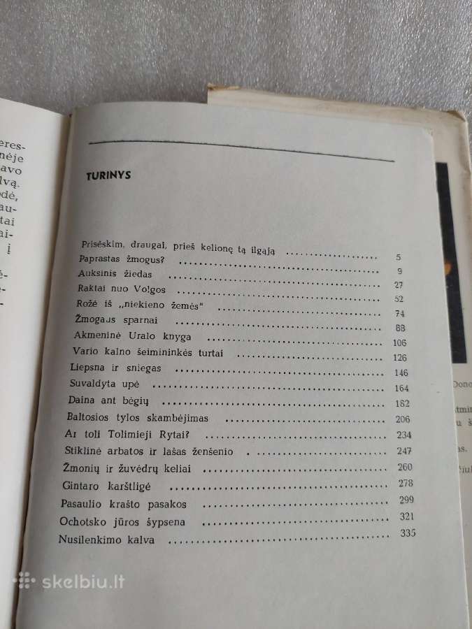 Amžini beržai - nuotraukos Nr. 5