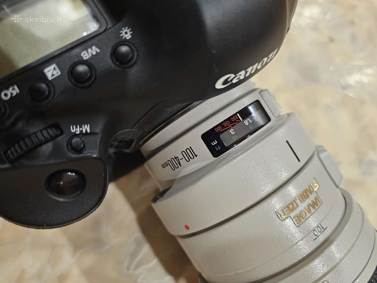 Canon EOS-1D X su linze Canon 100-400 Ultrasonic - nuotraukos Nr. 3