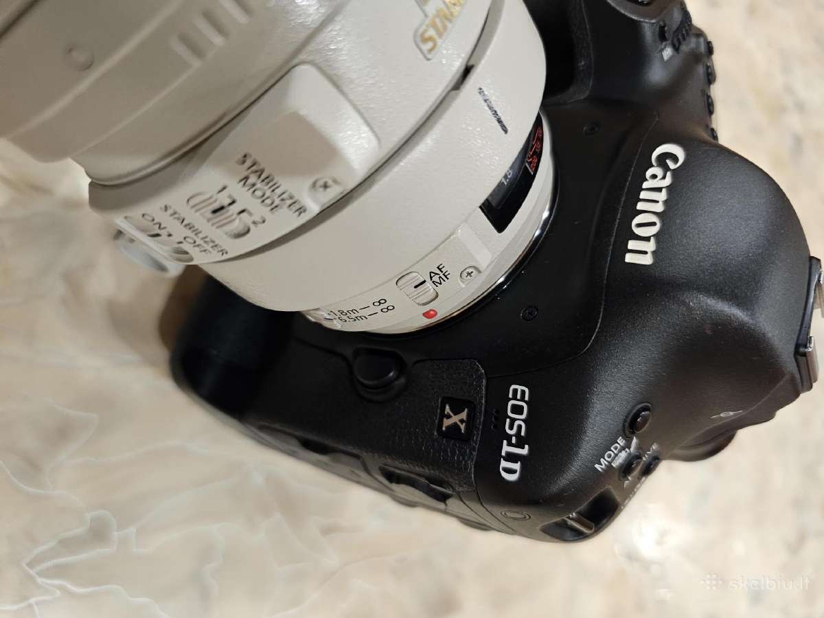 Canon EOS-1D X su linze Canon 100-400 Ultrasonic - nuotraukos Nr. 4