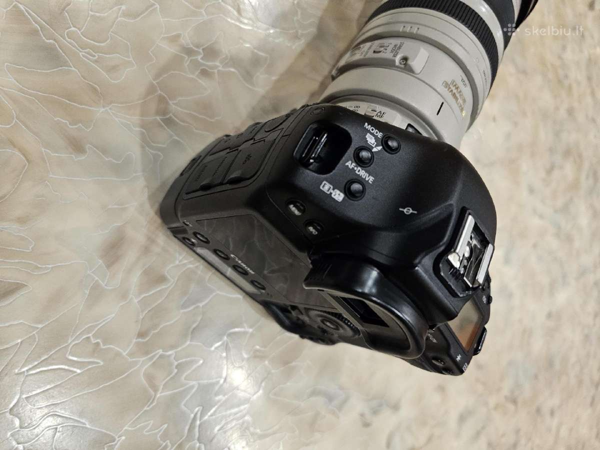 Canon EOS-1D X su linze Canon 100-400 Ultrasonic - nuotraukos Nr. 5