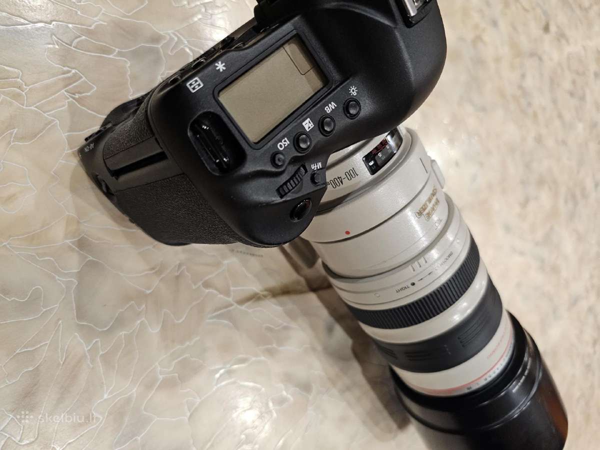 Canon EOS-1D X su linze Canon 100-400 Ultrasonic - nuotraukos Nr. 6