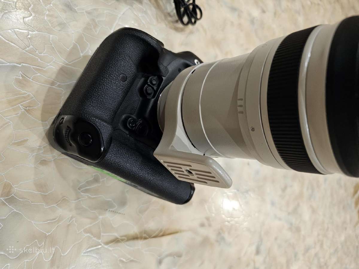 Canon EOS-1D X su linze Canon 100-400 Ultrasonic - nuotraukos Nr. 7