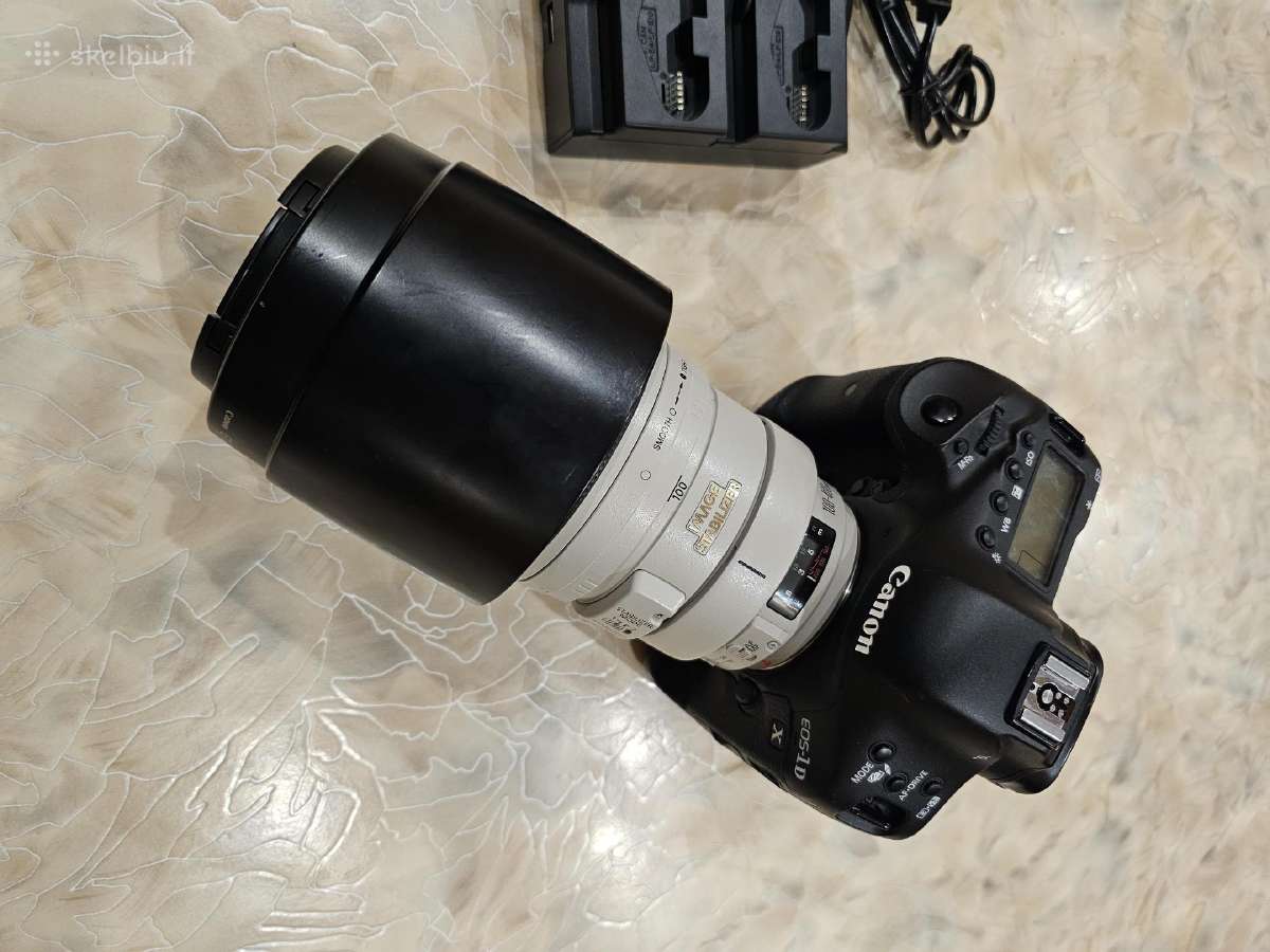 Canon EOS-1D X su linze Canon 100-400 Ultrasonic - nuotraukos Nr. 9