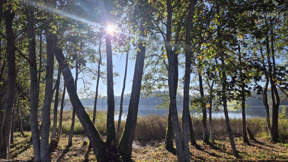 Sodyba ant kalvos su 58 m Lamėsto pakrante - nuotraukos Nr. 18
