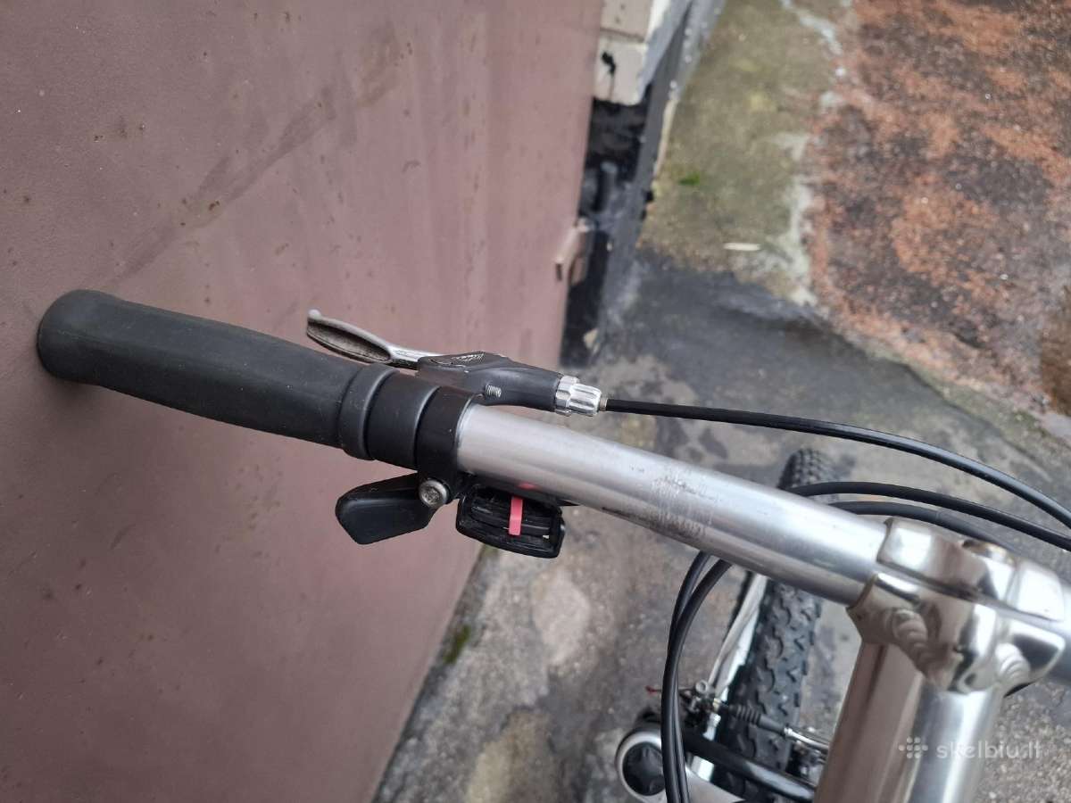 Everest L/55cm kalnu MTB hibridinis dviratis - nuotraukos Nr. 5