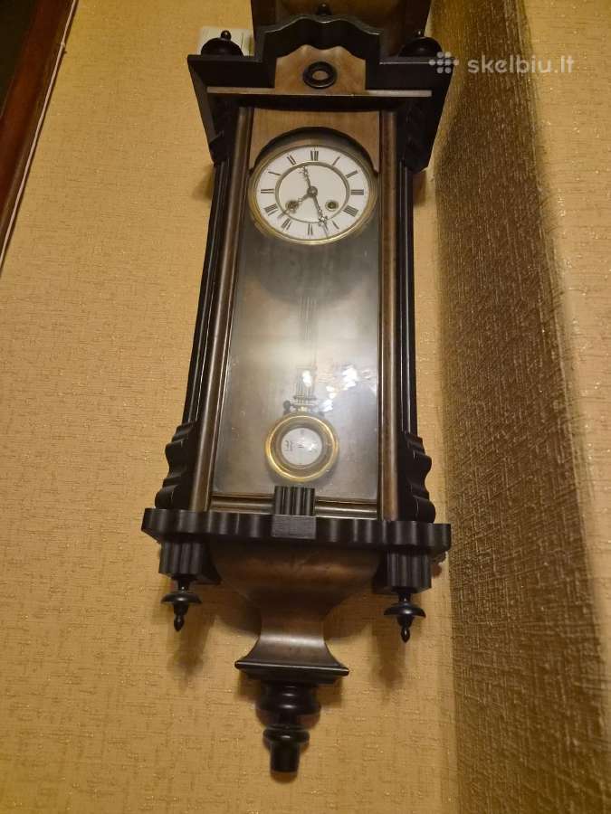 Sieninis laikrodis - nuotraukos Nr. 2