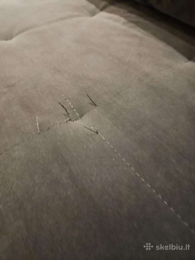 Mėlyna velvetinė dvigulė / viengulė sofa-lova. - nuotraukos Nr. 3