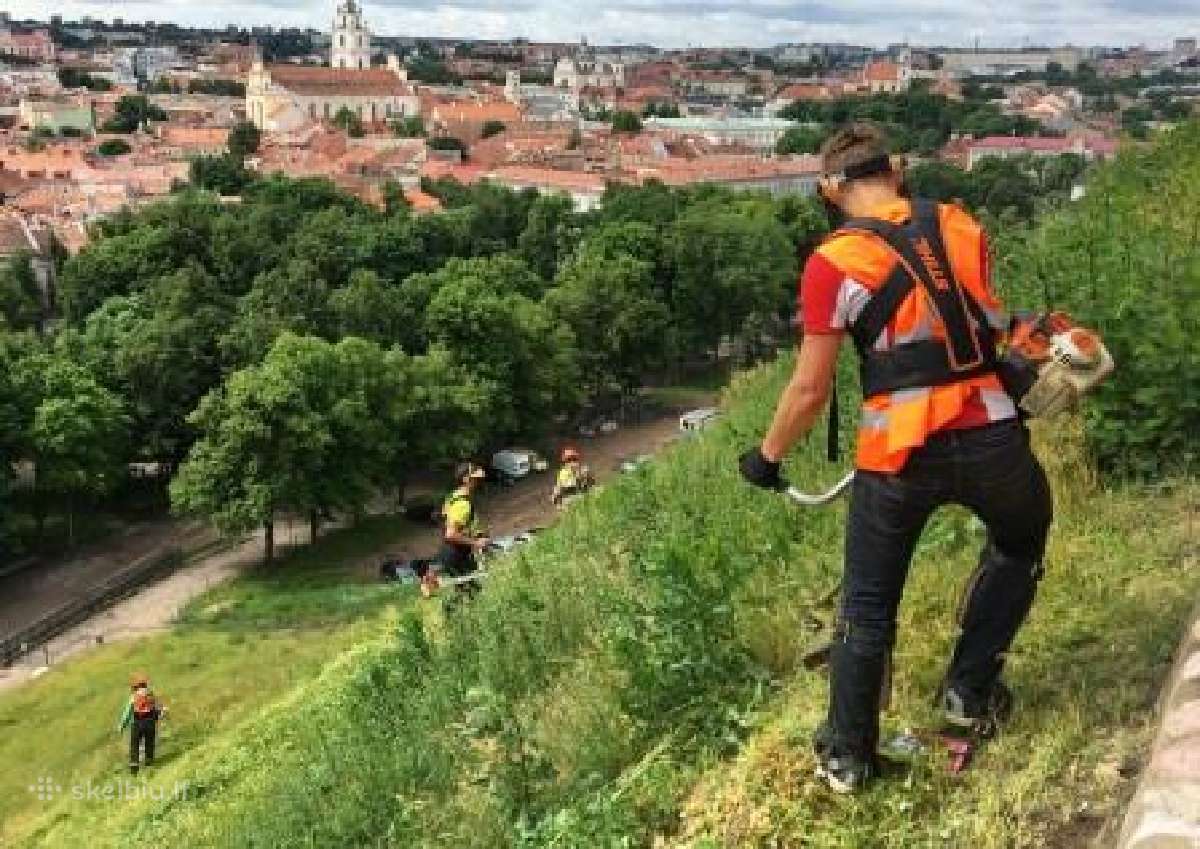 Žolės pjovimas - nuotraukos Nr. 5