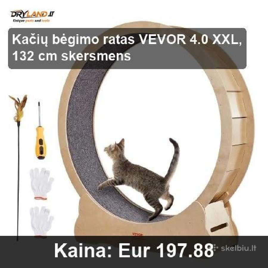 Augintinių Aktyvumas Namuose – Bėgimo Takeliai - nuotraukos Nr. 21