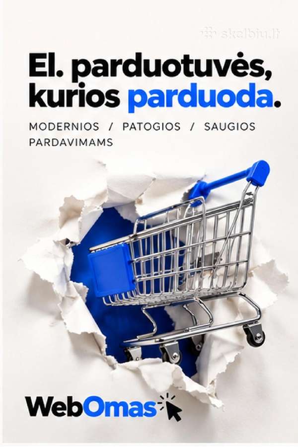 Modernių interneto svetainių kūrimas verslui - nuotraukos Nr. 3