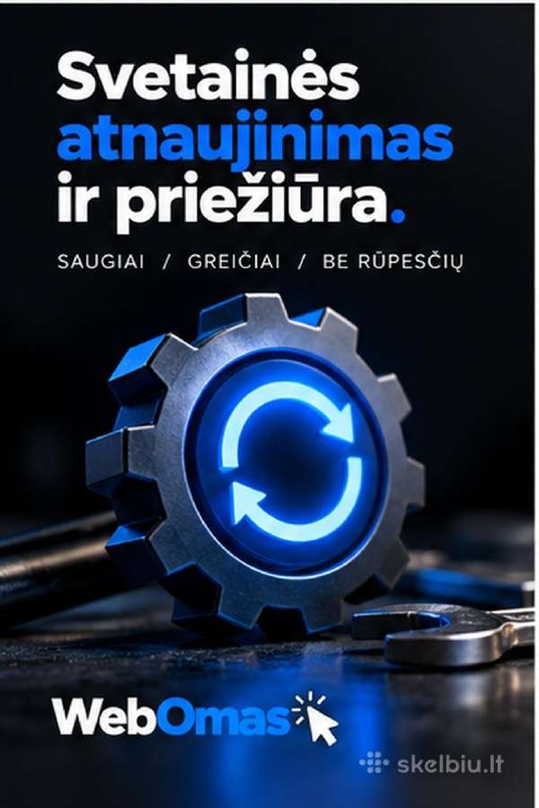 Modernių interneto svetainių kūrimas verslui - nuotraukos Nr. 4