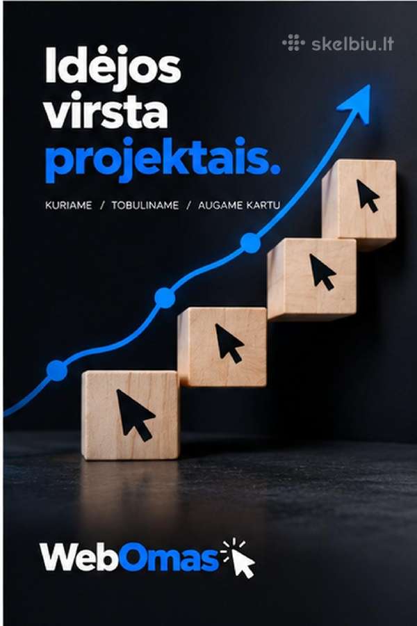 Modernių interneto svetainių kūrimas verslui - nuotraukos Nr. 6