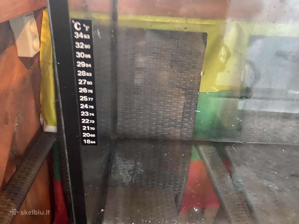 Akvariumas žuvytėms 300 L. Dangtis 3 šviesos LED. - nuotraukos Nr. 7