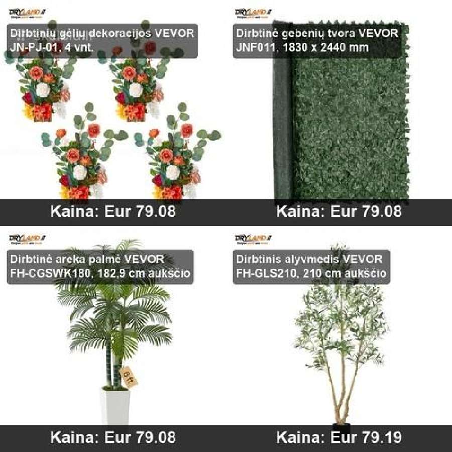Dirbtiniai Bukmedžiai – Žalumos Elegancija - nuotraukos Nr. 22