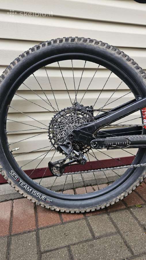 YT Capra core 2mx 2024 - nuotraukos Nr. 4