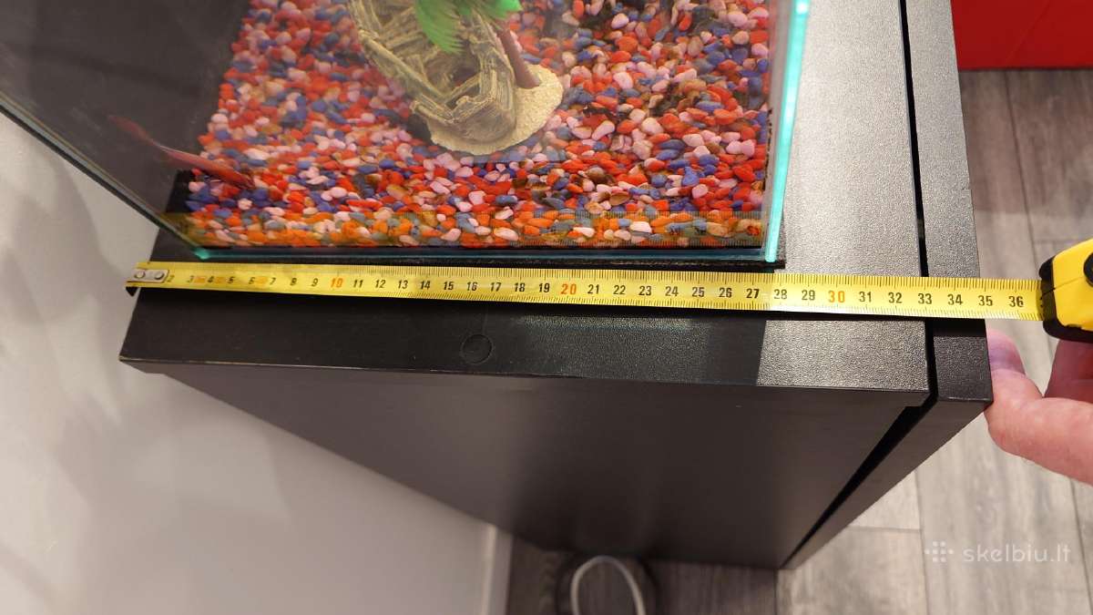 20l akvariumas su zuvytemis, spintele ir priedais - nuotraukos Nr. 5
