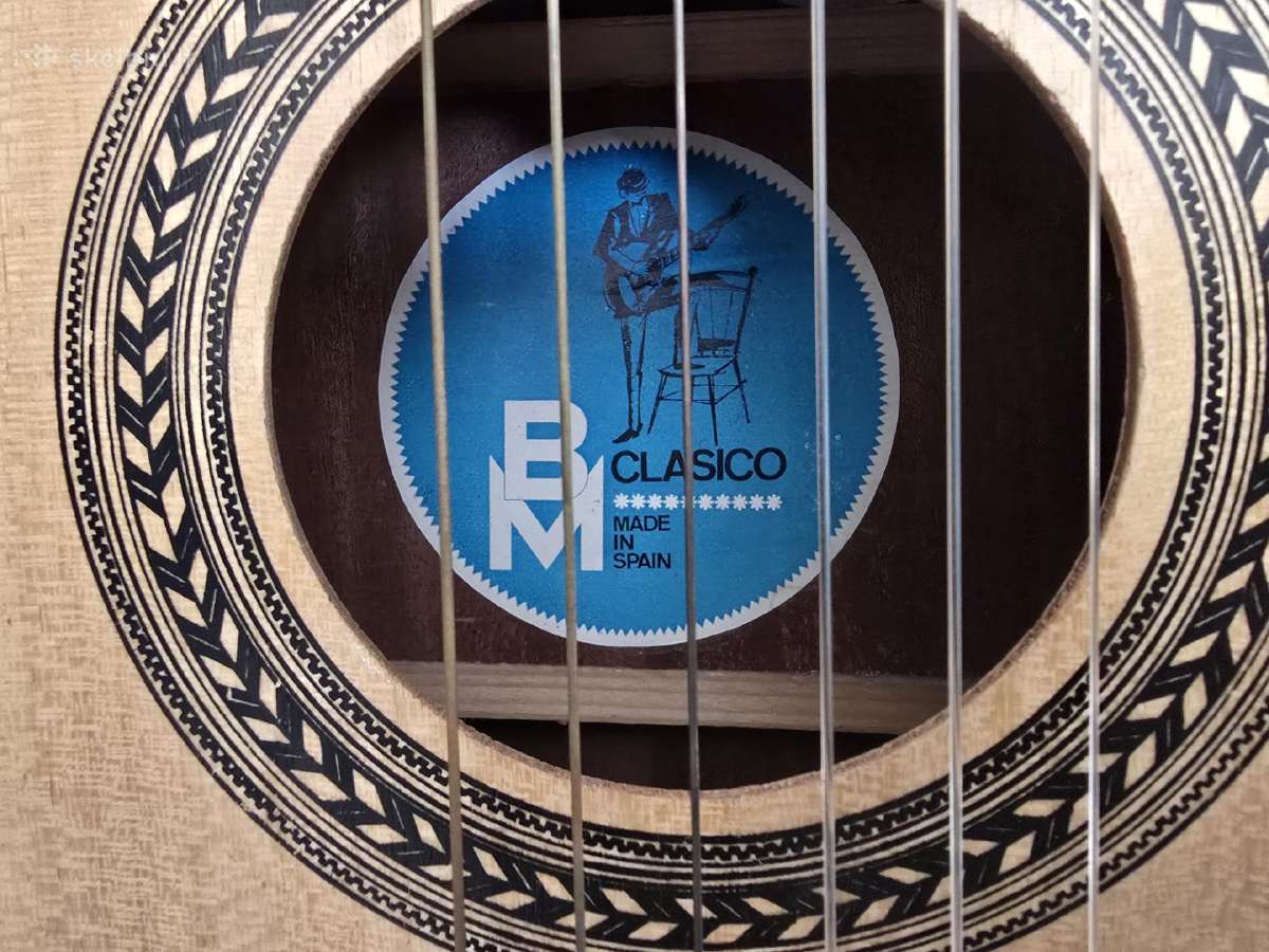Gitaros - nuotraukos Nr. 3