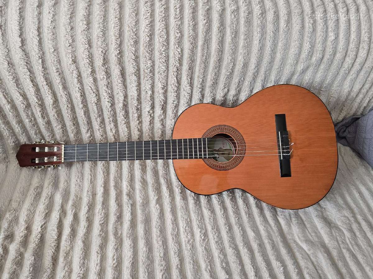 Gitaros - nuotraukos Nr. 4