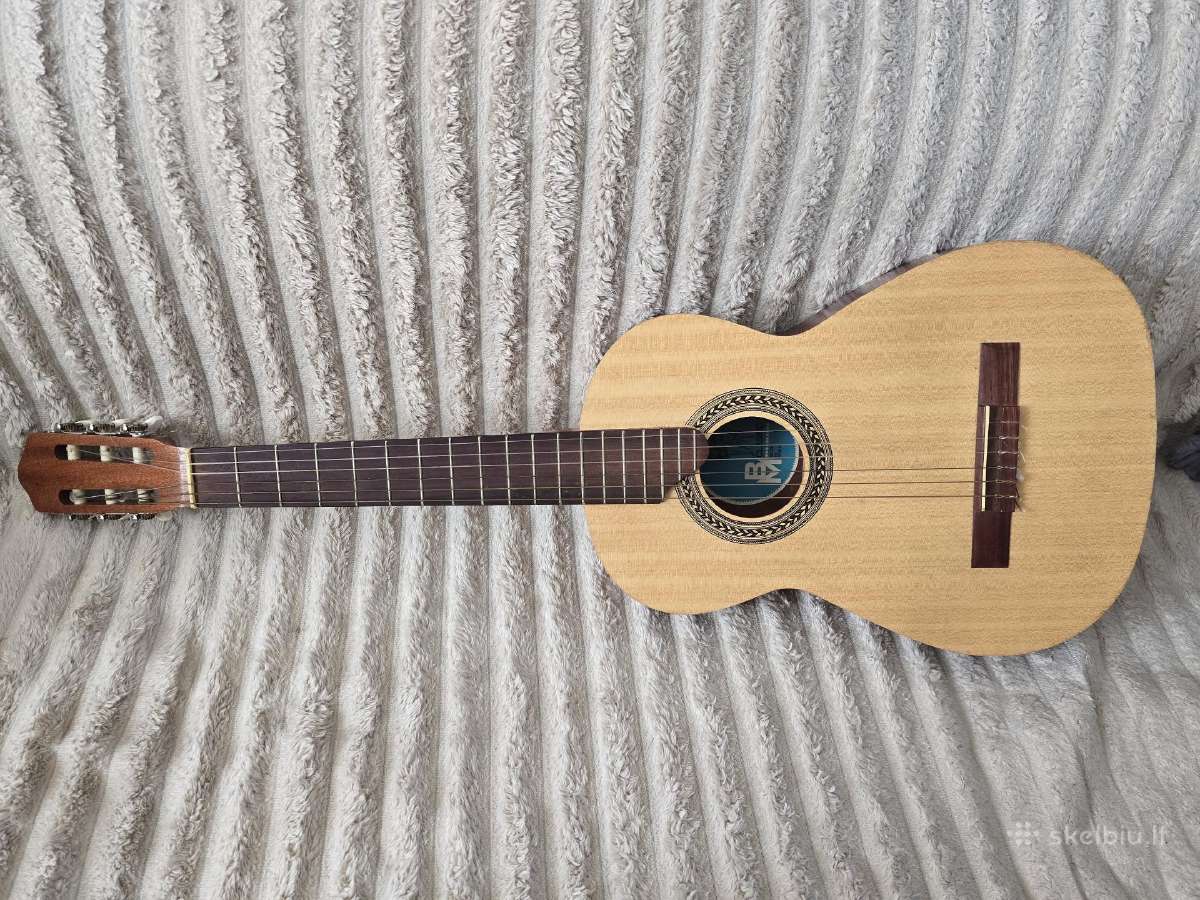 Gitaros - nuotraukos Nr. 5