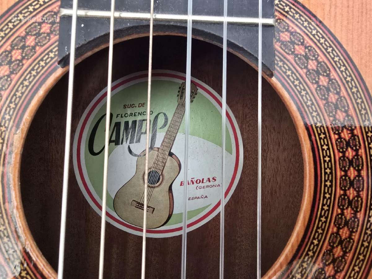 Gitaros - nuotraukos Nr. 6
