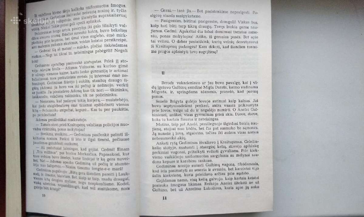 J. Avyžius. Sodybų tuštėjimo metas - nuotraukos Nr. 4