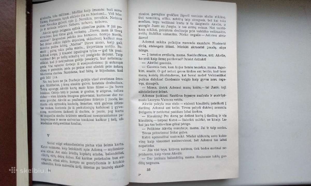 J. Avyžius. Sodybų tuštėjimo metas - nuotraukos Nr. 5