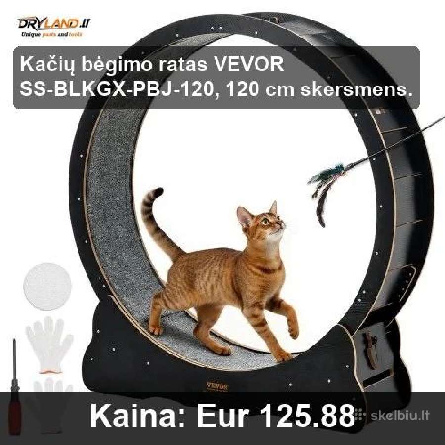 Kačių bėgimo takeliai - nuotraukos Nr. 6
