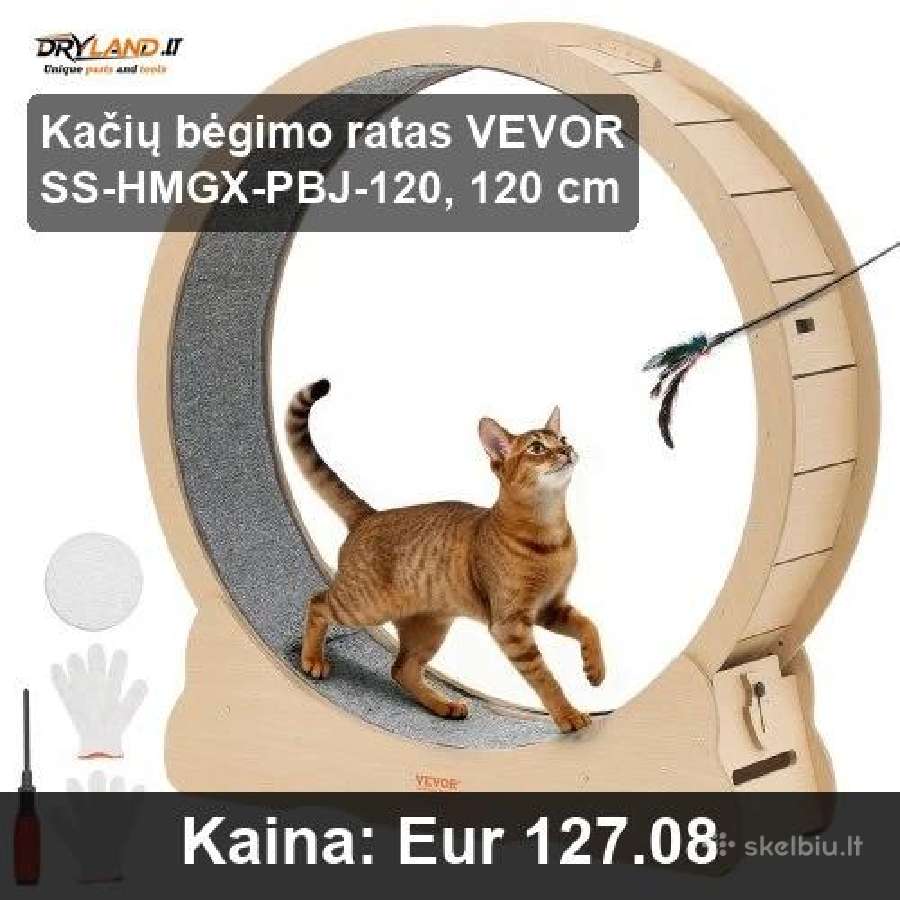 Kačių bėgimo takeliai - nuotraukos Nr. 7