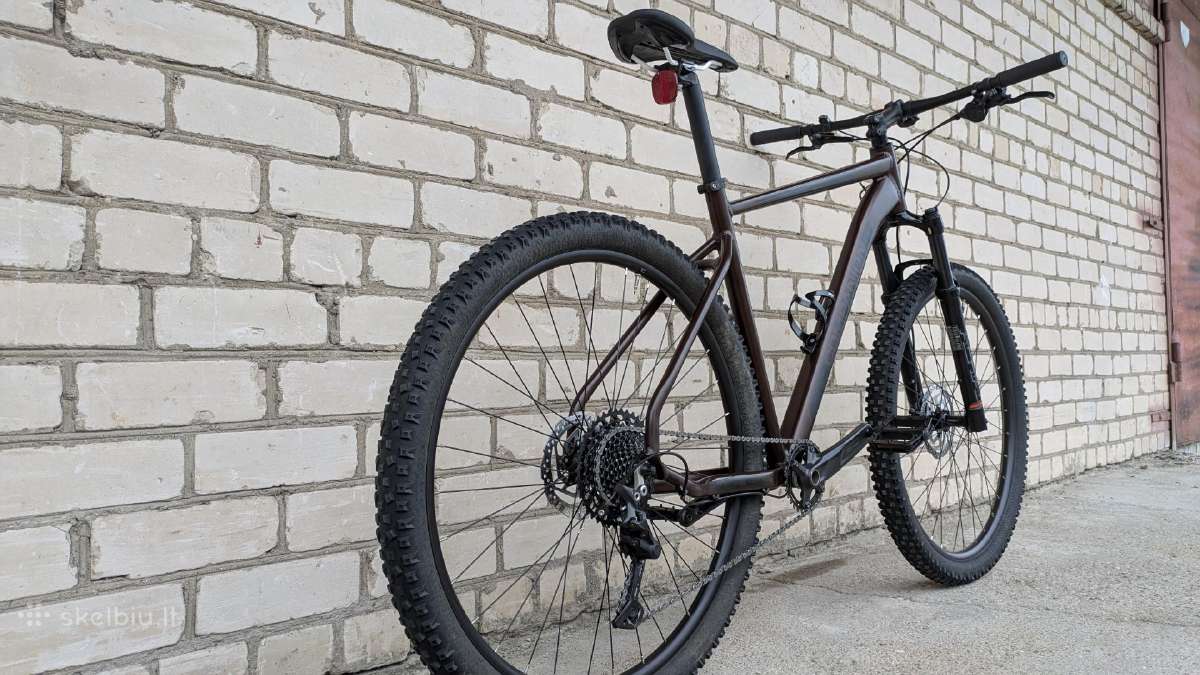 Companion 29er, 1x11sp - nuotraukos Nr. 2