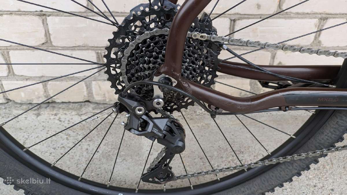 Companion 29er, 1x11sp - nuotraukos Nr. 16