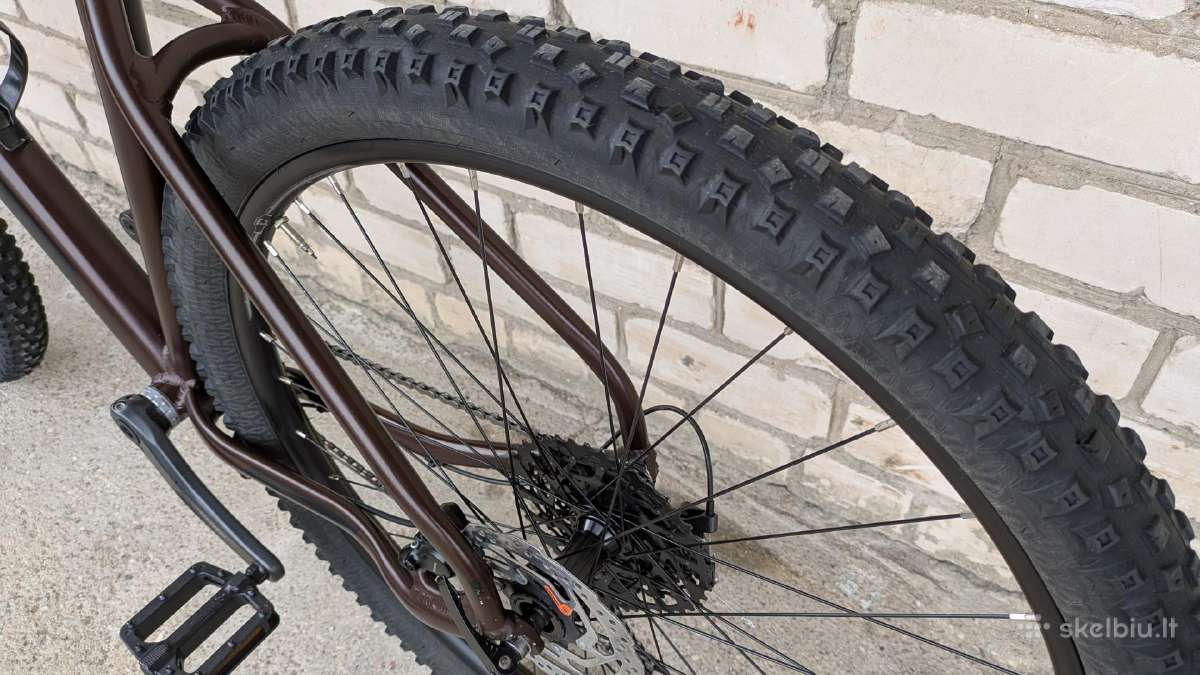 Companion 29er, 1x11sp - nuotraukos Nr. 27