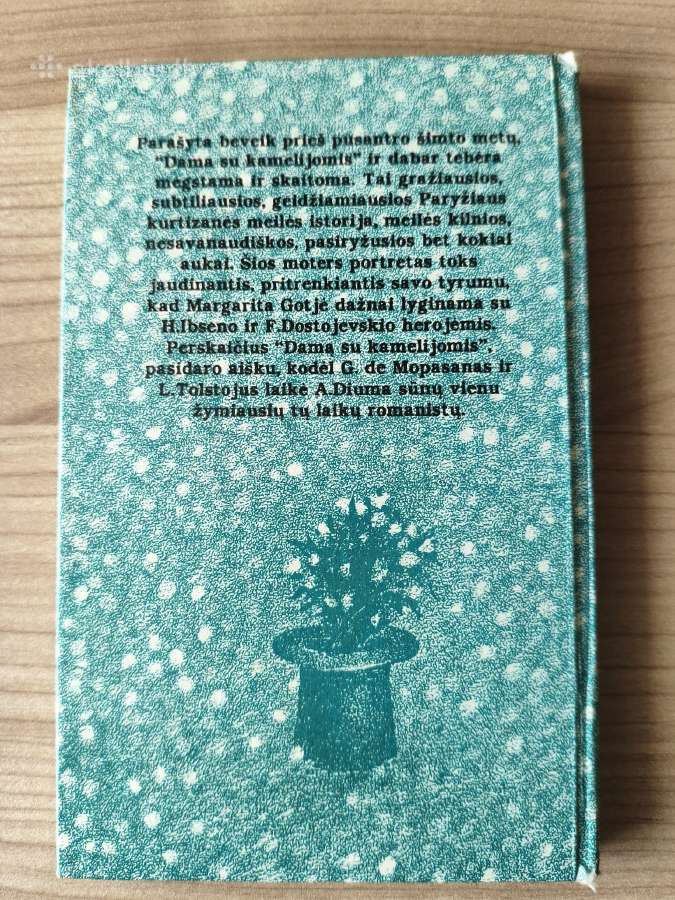 A. Diuma sūnus " Dama su kamelijomis" - nuotraukos Nr. 3