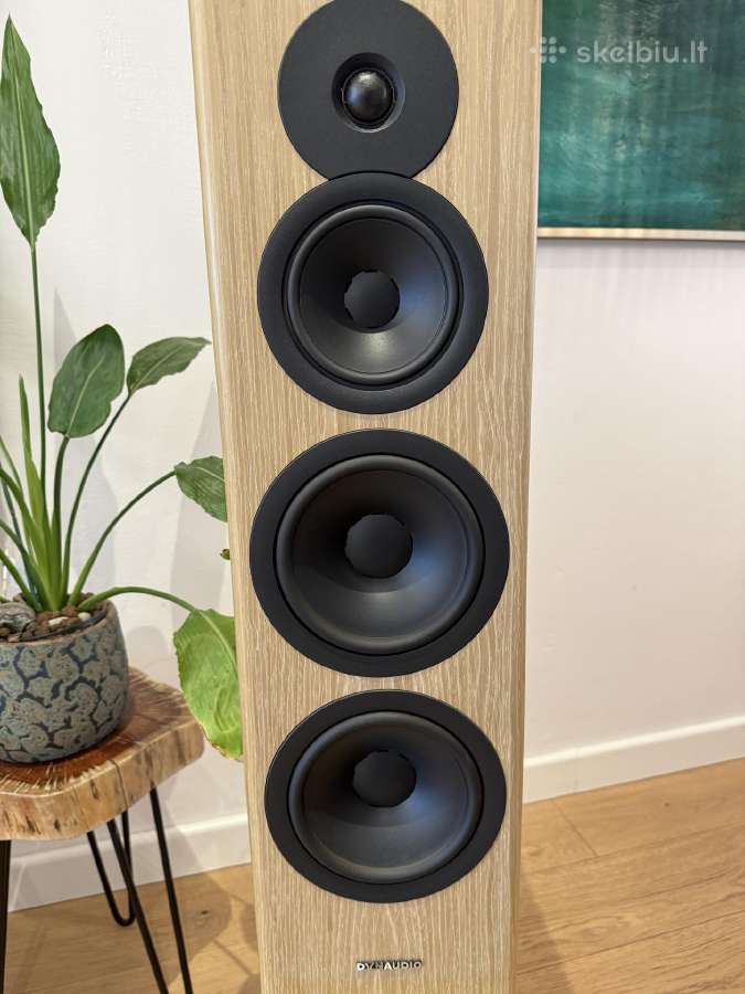 Kolonėlės Dynaudio Evoke 50 - nuotraukos Nr. 5
