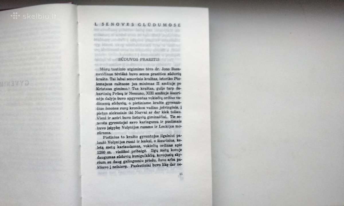 A. Nezabitauskis. Jonas Basanavičius. 1990 m. leid - nuotraukos Nr. 3