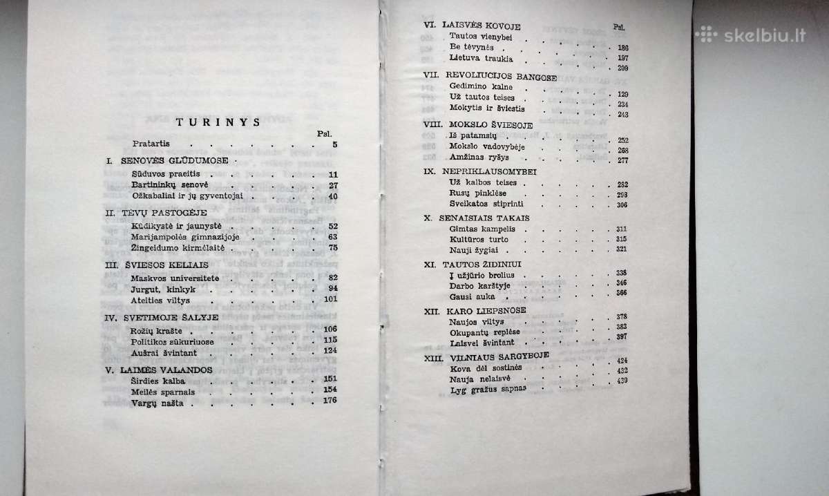A. Nezabitauskis. Jonas Basanavičius. 1990 m. leid - nuotraukos Nr. 15