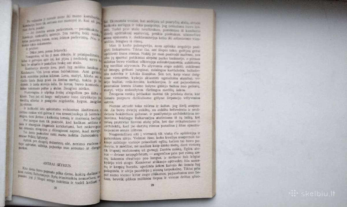 V. Karatkevičius. Alšėnų pilies paslaptis. Karalia - nuotraukos Nr. 19