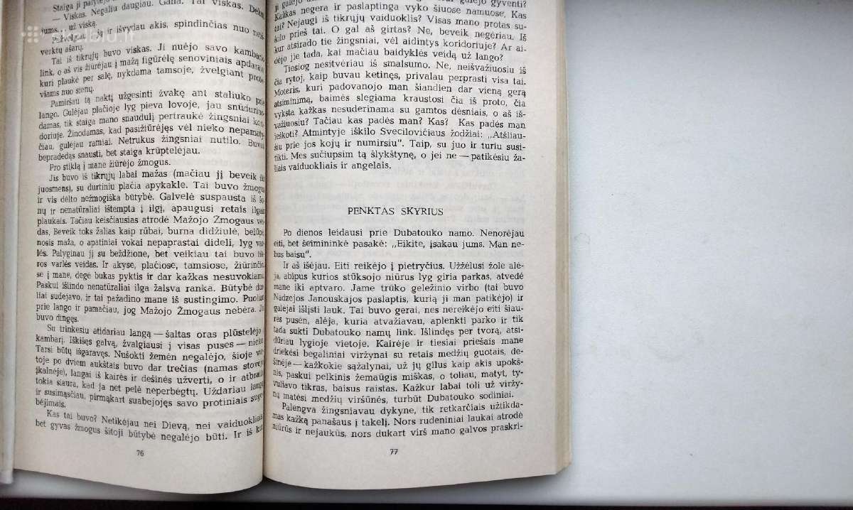 V. Karatkevičius. Alšėnų pilies paslaptis. Karalia - nuotraukos Nr. 20