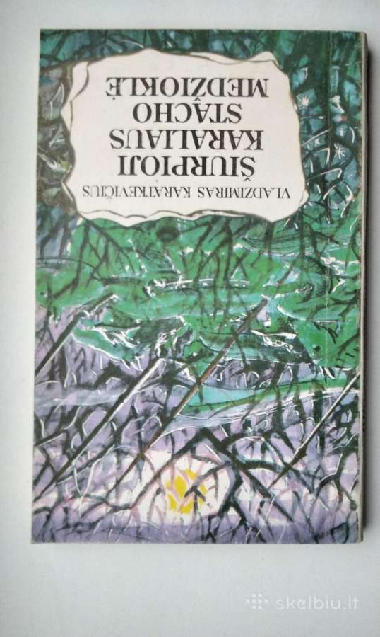 V. Karatkevičius. Alšėnų pilies paslaptis. Karalia - nuotraukos Nr. 15