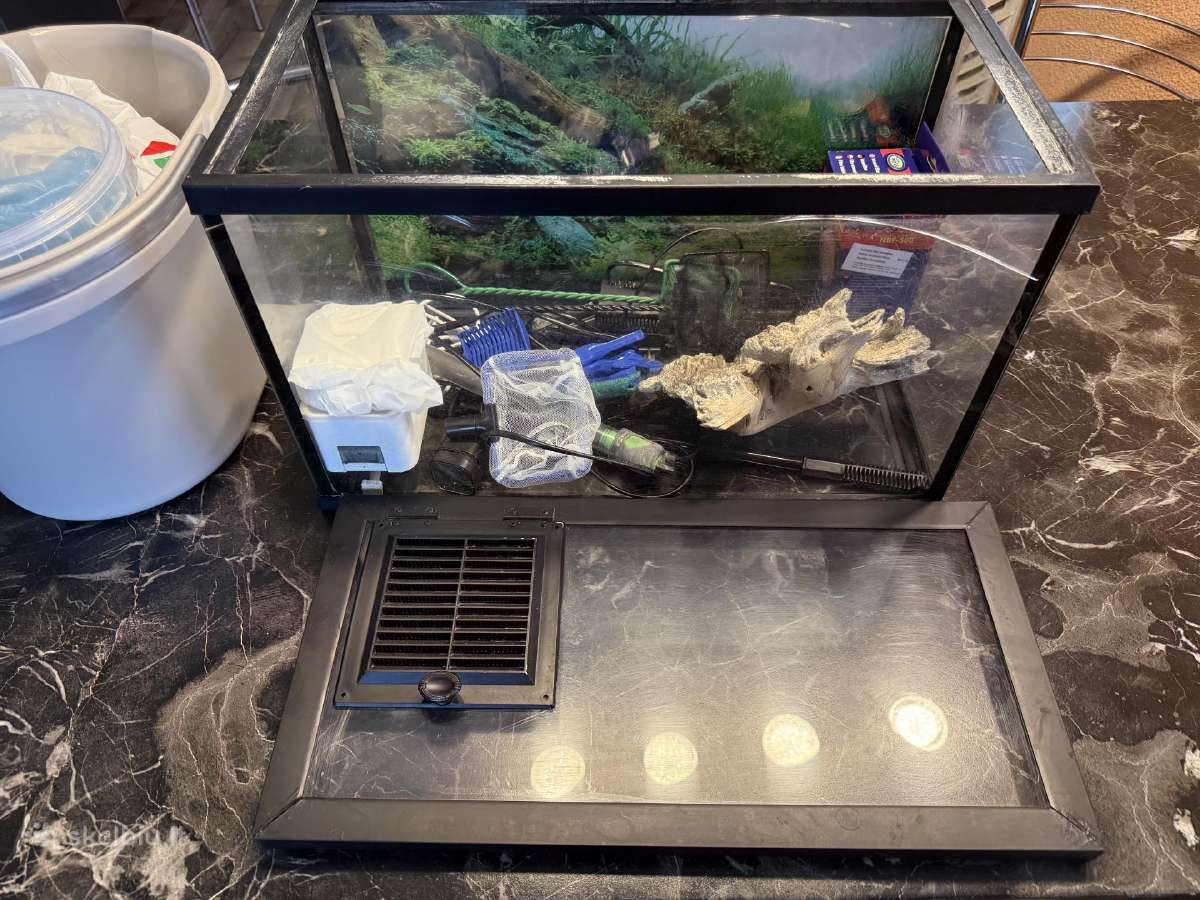 Parduodamas akvariumas 37,5l su visa įranga - nuotraukos Nr. 6