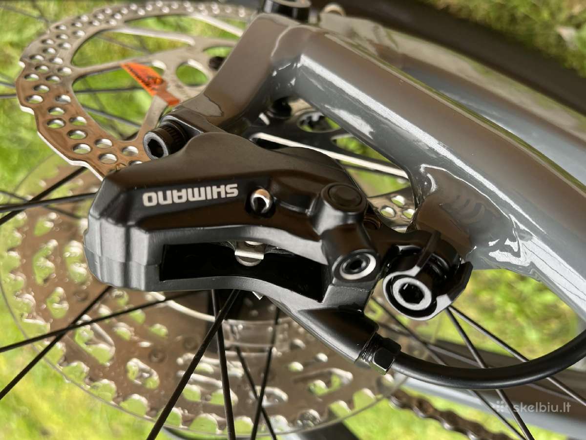 2022 Focus Thron 6.8 Bike - nuotraukos Nr. 11