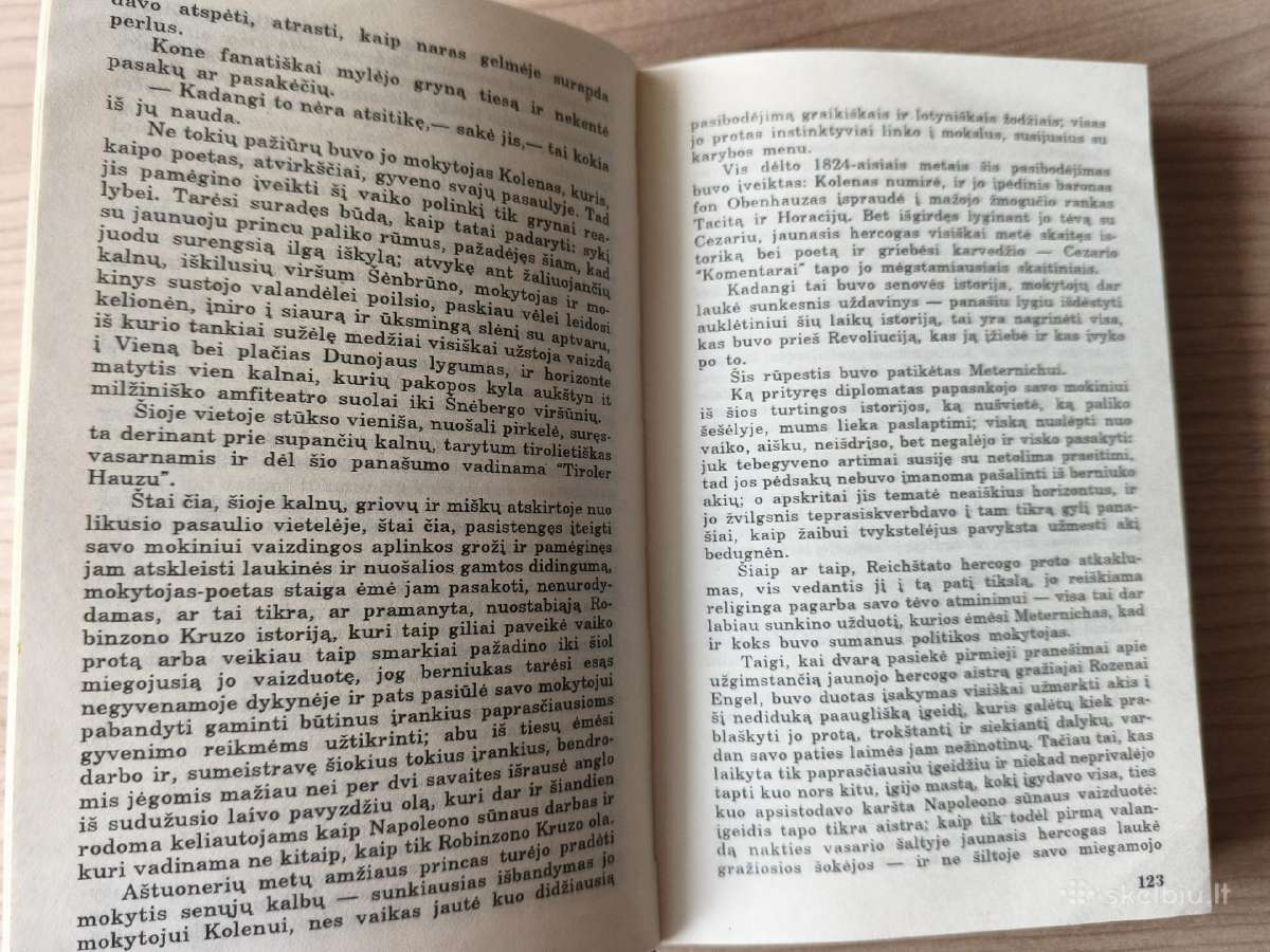A. Diuma "Paryžiaus Mohikanai (2 knygos)" - nuotraukos Nr. 11