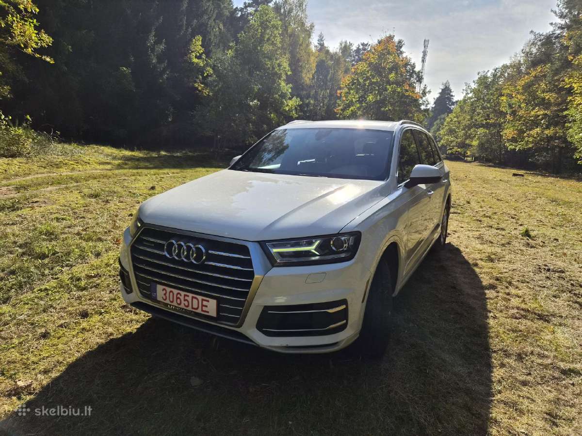 Audi Q7 2.0 Tfsi - nuotraukos Nr. 3