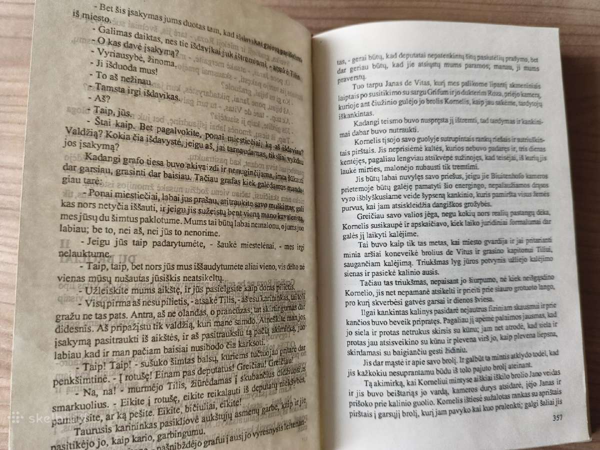 A. Diuma "Ševaljė de Mezon Ružas. Juodoji tulpė" - nuotraukos Nr. 8
