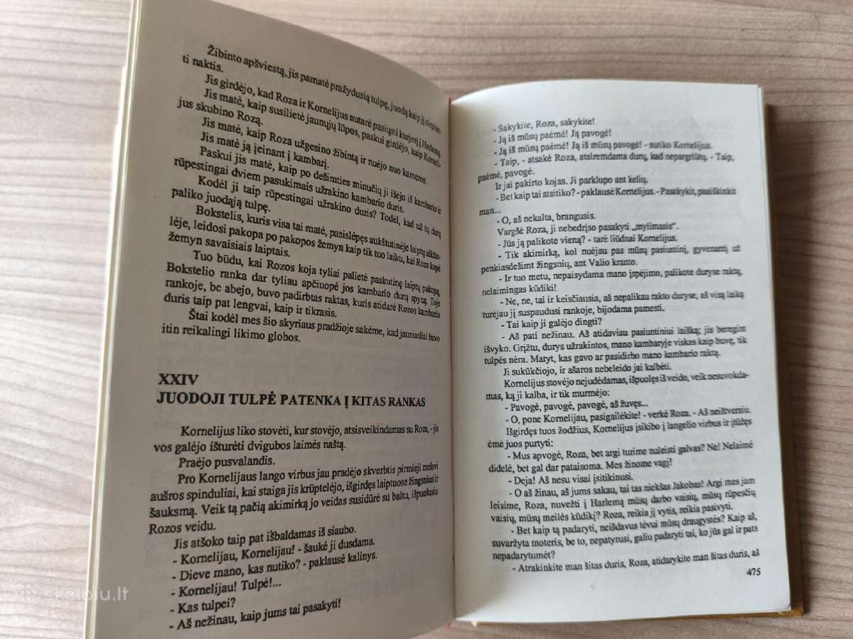 A. Diuma "Ševaljė de Mezon Ružas. Juodoji tulpė" - nuotraukos Nr. 9
