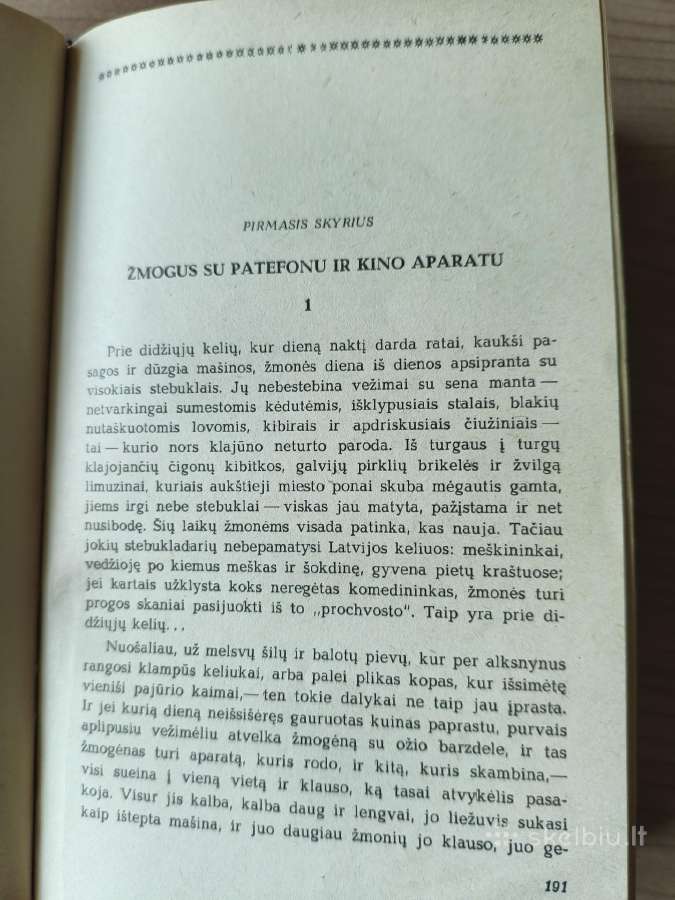 Vilis Lacis "Žvejo sūnus" - nuotraukos Nr. 7
