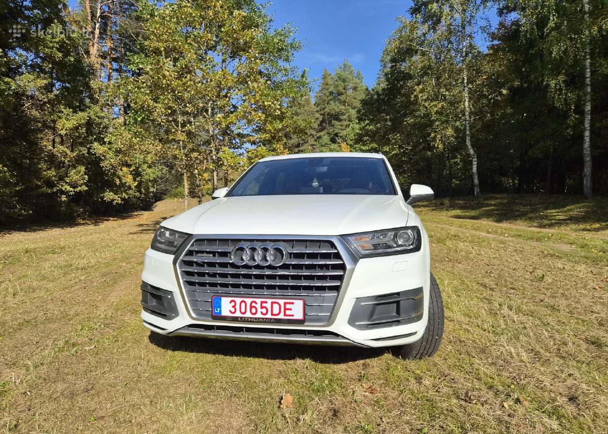 Audi Q7 2.0 Tfsi - nuotraukos Nr. 25